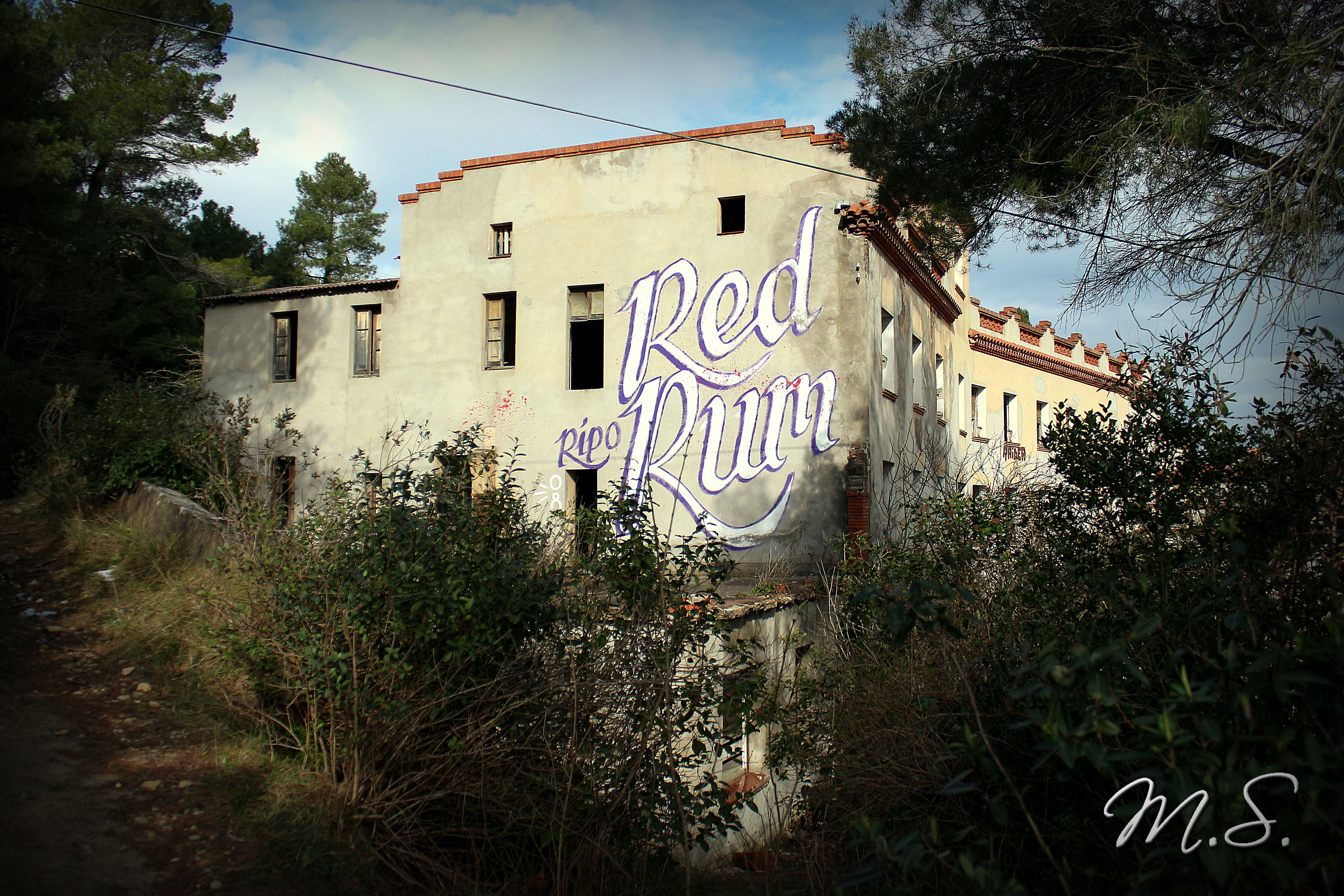 img_1969