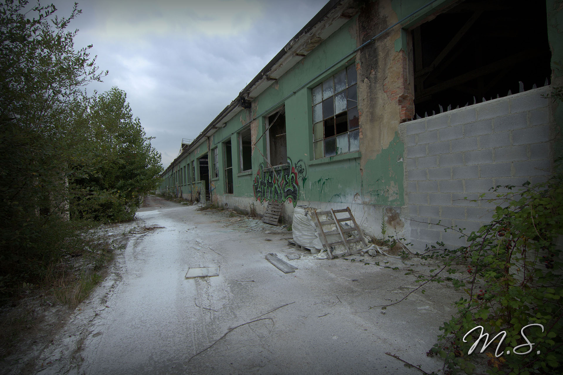 IMG_0206.CR2