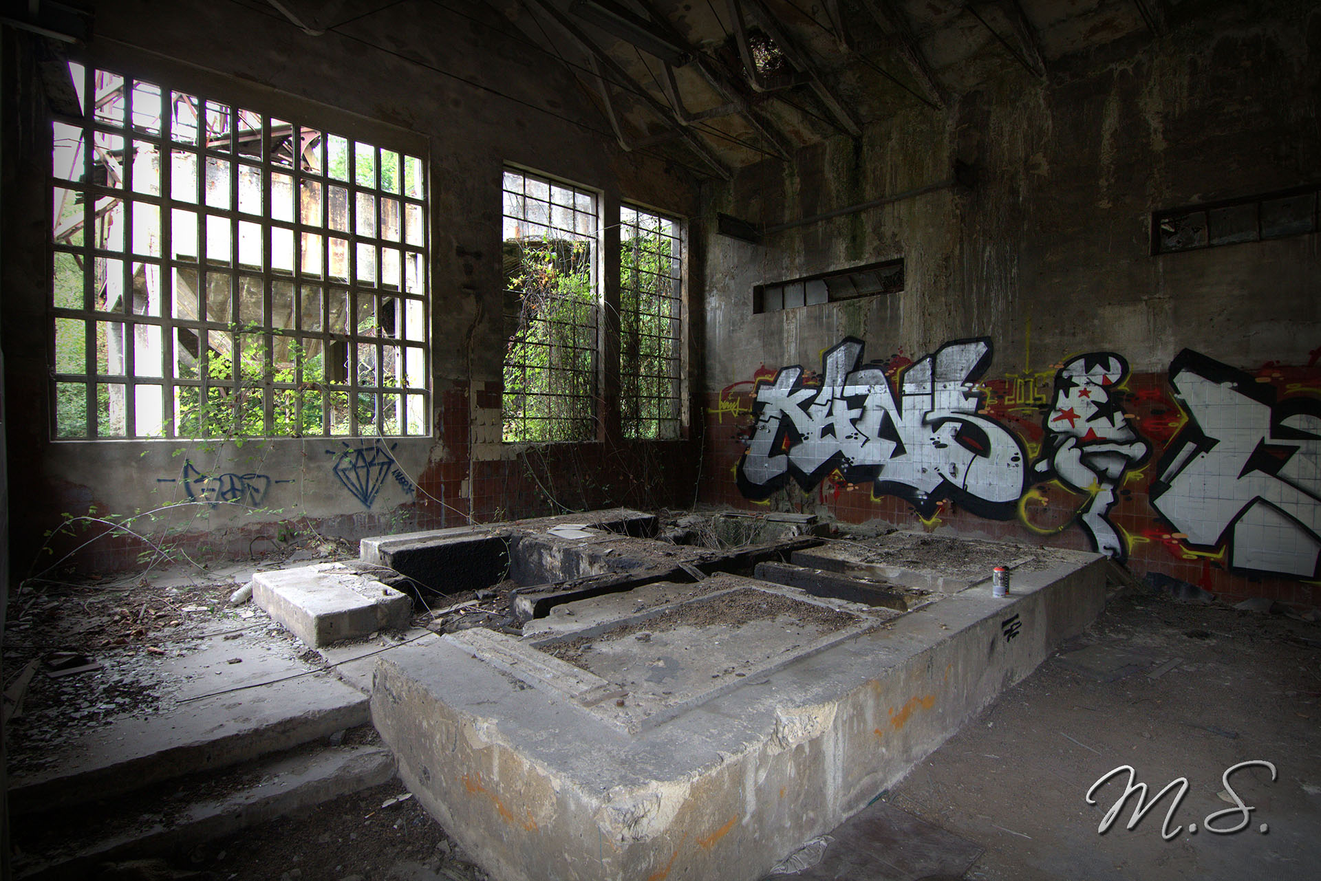 IMG_9933.CR2