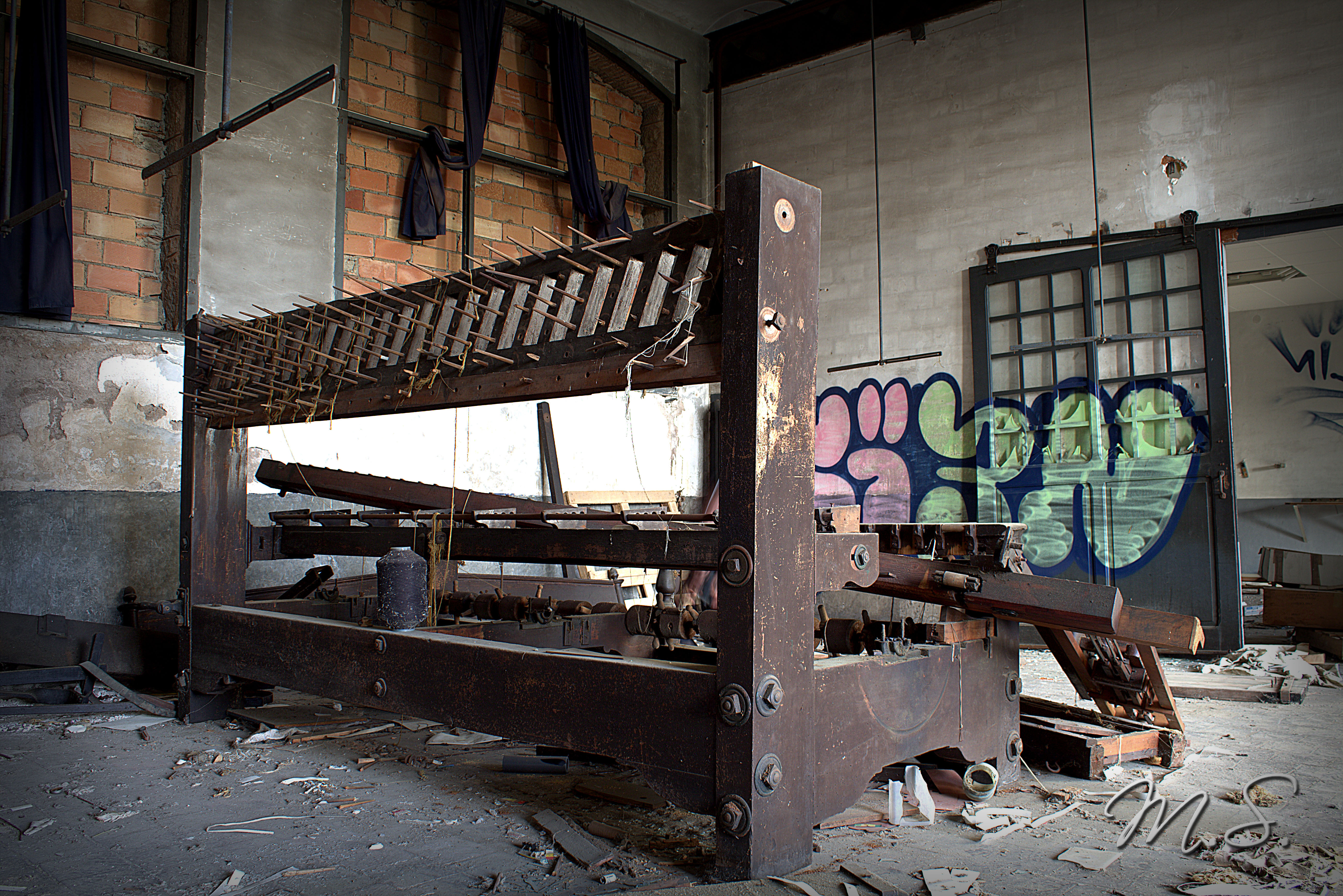 IMG_1286.CR2